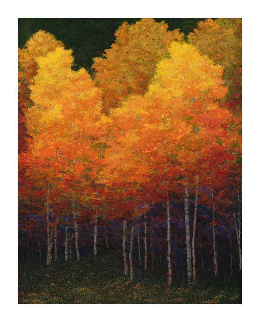 006-1114 - Aspen Beauty