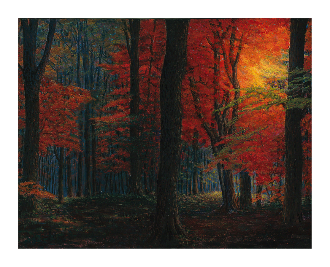 047-1114 - Walk thru the Woods