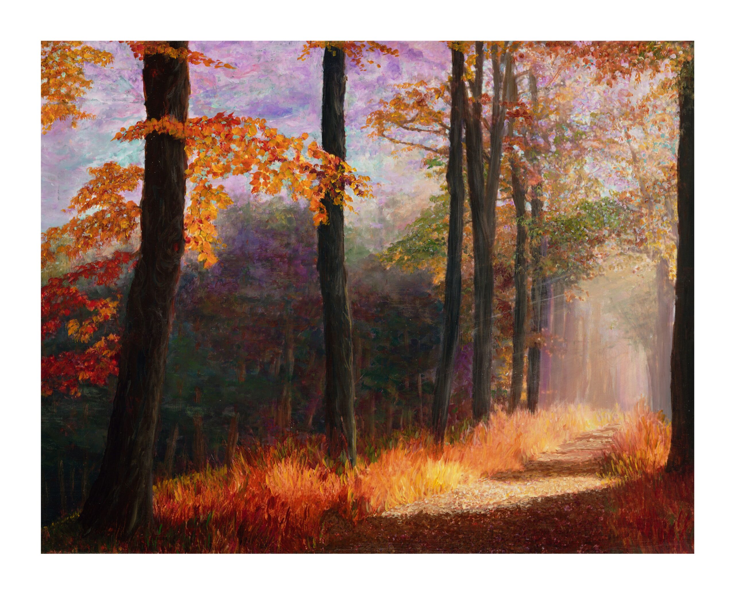 059-1114 Misty Light